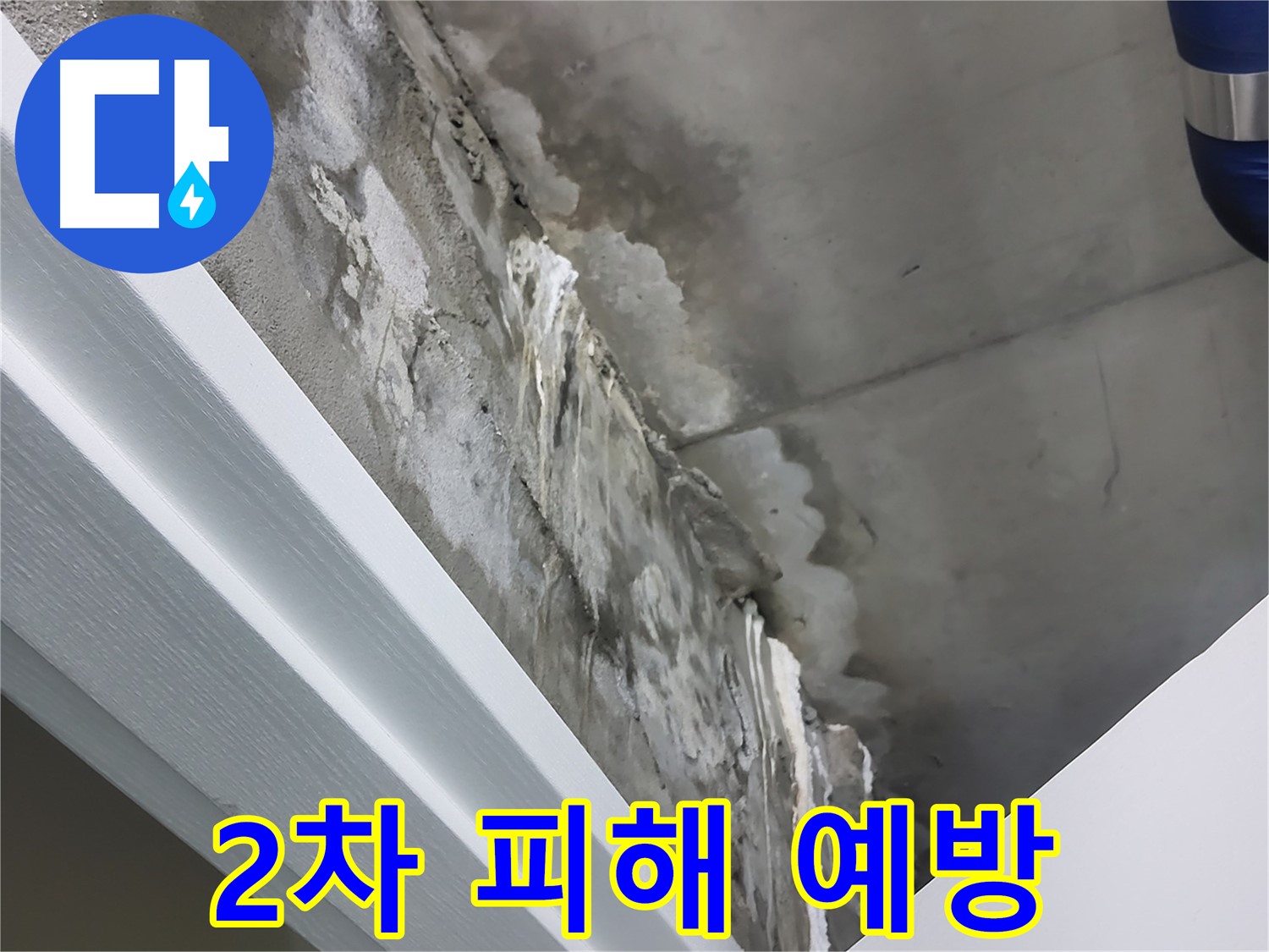 분당 운중동 산운마을 - 콘크리트 천장 누수 - 2차 피해 예방 - 꼼꼼 시공
