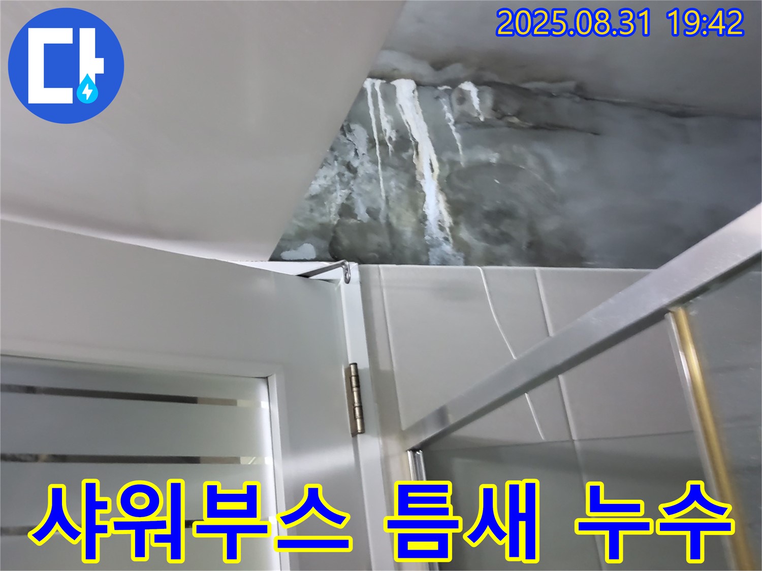 분당 운중동 샤워부스 틈새 누수 - 전문 기술로 꼼꼼하게 누수를 차단하는 과정을 보여드립니다.