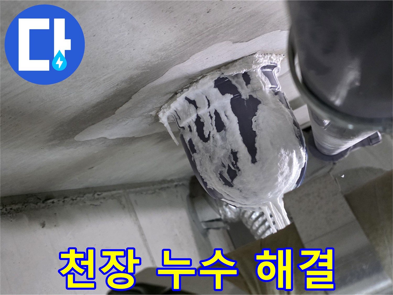 분당 운중동 아파트 - 천장 누수 문제, 완벽하게 해결 완료