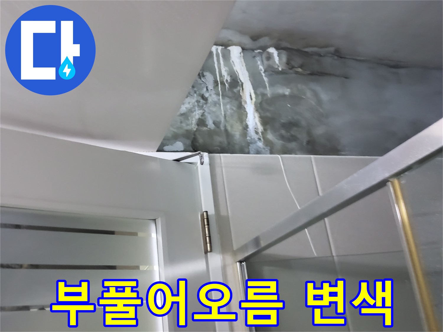 성남 분당 샤워부스 옆 벽면 부풀어오름과 페인트 변색 점검 - 누수 가능성 확인