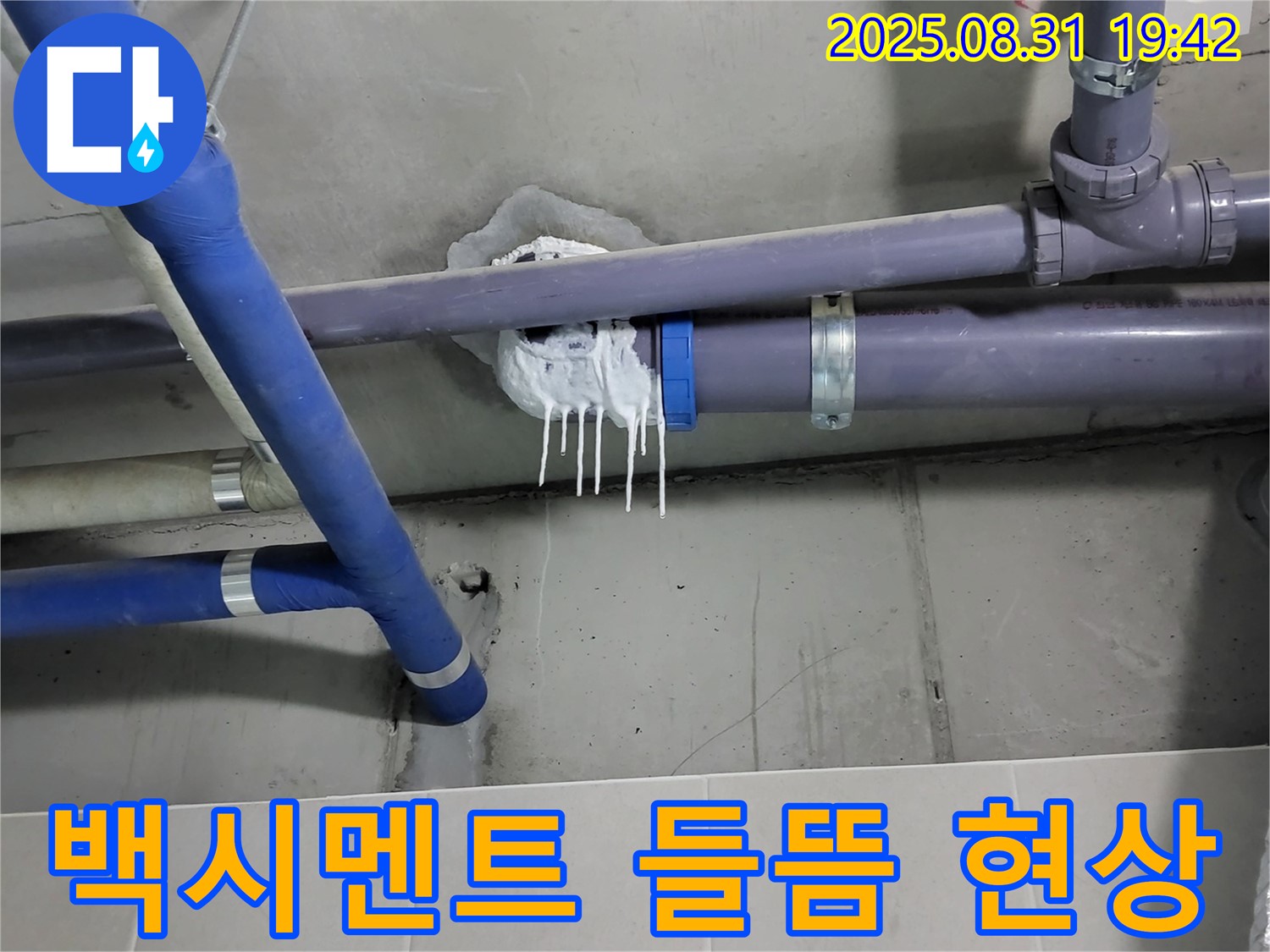 성남 분당 운중동 산운마을 6단지 욕실 누수 - 배수관 주변 백시멘트 들뜸 현상