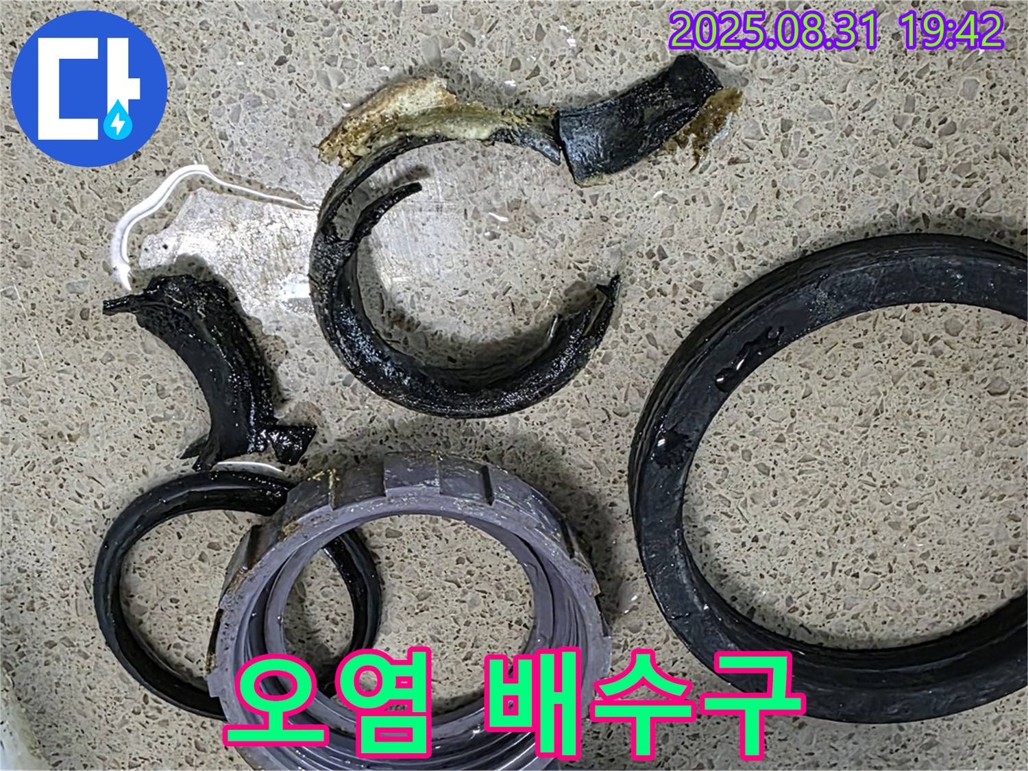 오염물질 가득한 싱크대 배수구 - 찝찝함