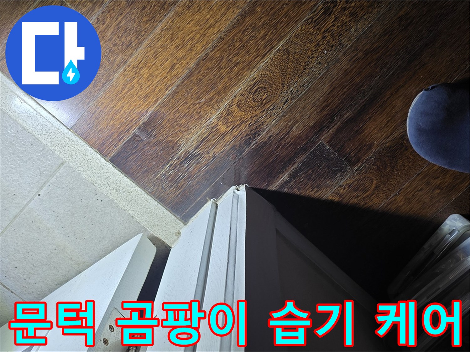 운중동 산운로 아파트 누수 - 문턱 주변 곰팡이와 습기 집중 관리