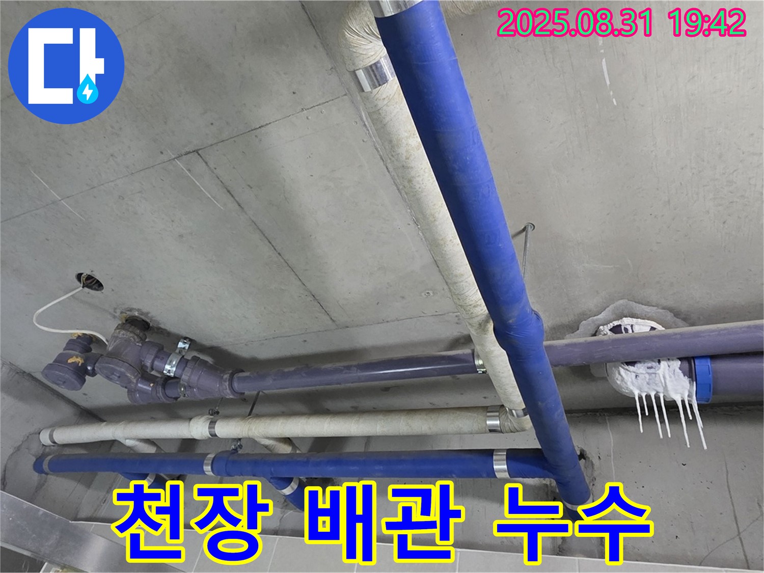 운중동 산운마을 6단지 아파트 천장 배관 누수 현장 - 정확한 탐지와 꼼꼼한 시공으로 누수 걱정 없이!