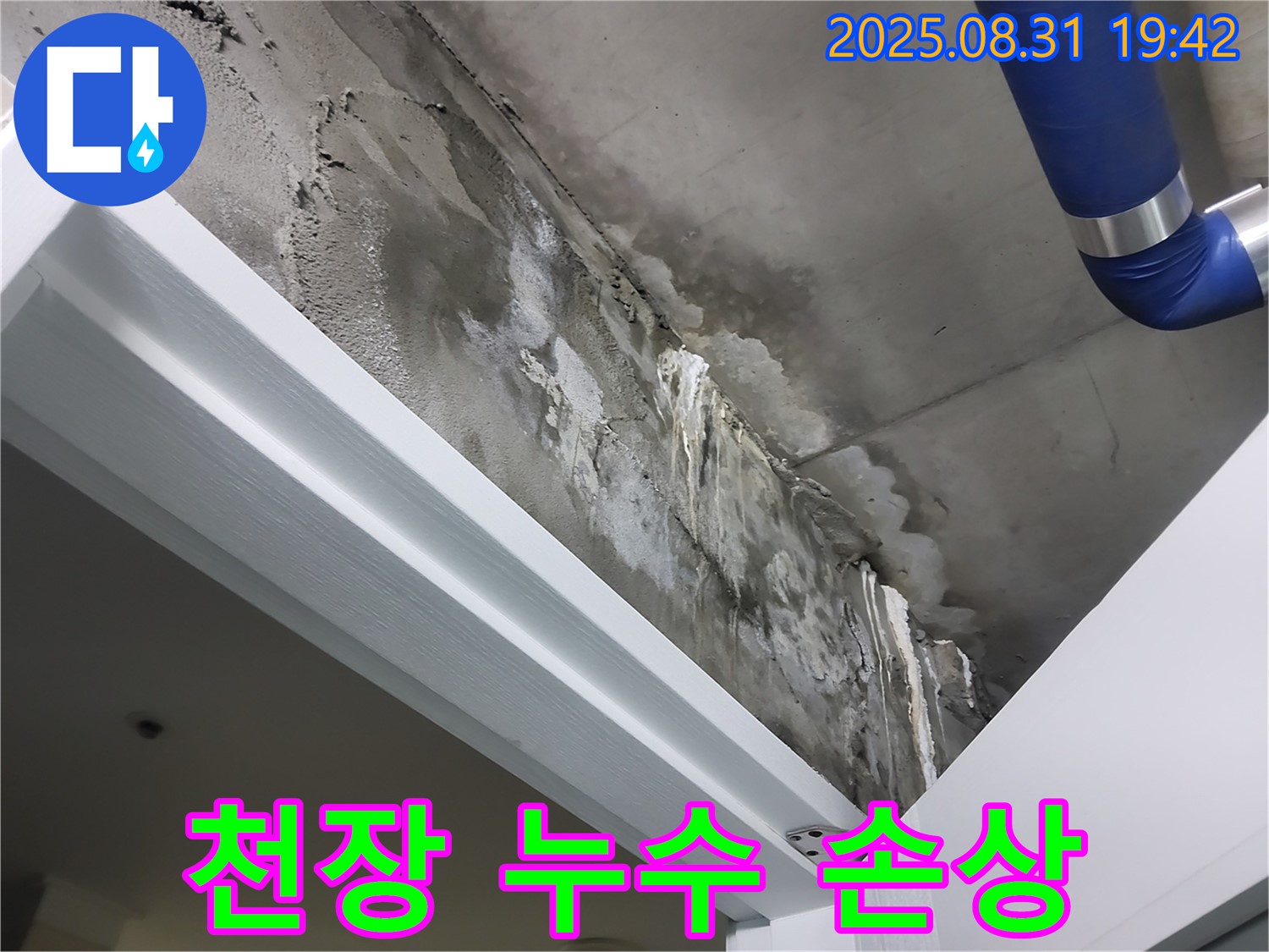 천장 누수 - 누수로 인한 손상 - 누수로 인해 천장이 젖고 손상된 모습입니다.