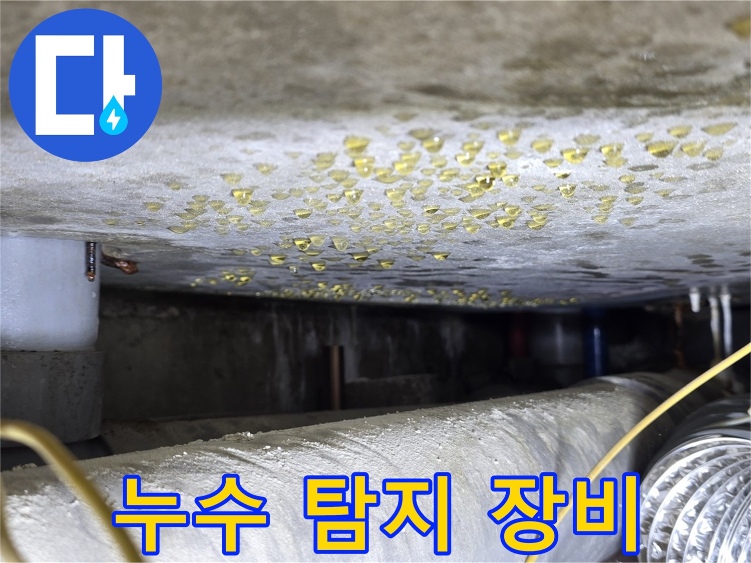 광진구 능동 천장 누수 - 첨단 누수 탐지 장비 사용 - 정확한 진단