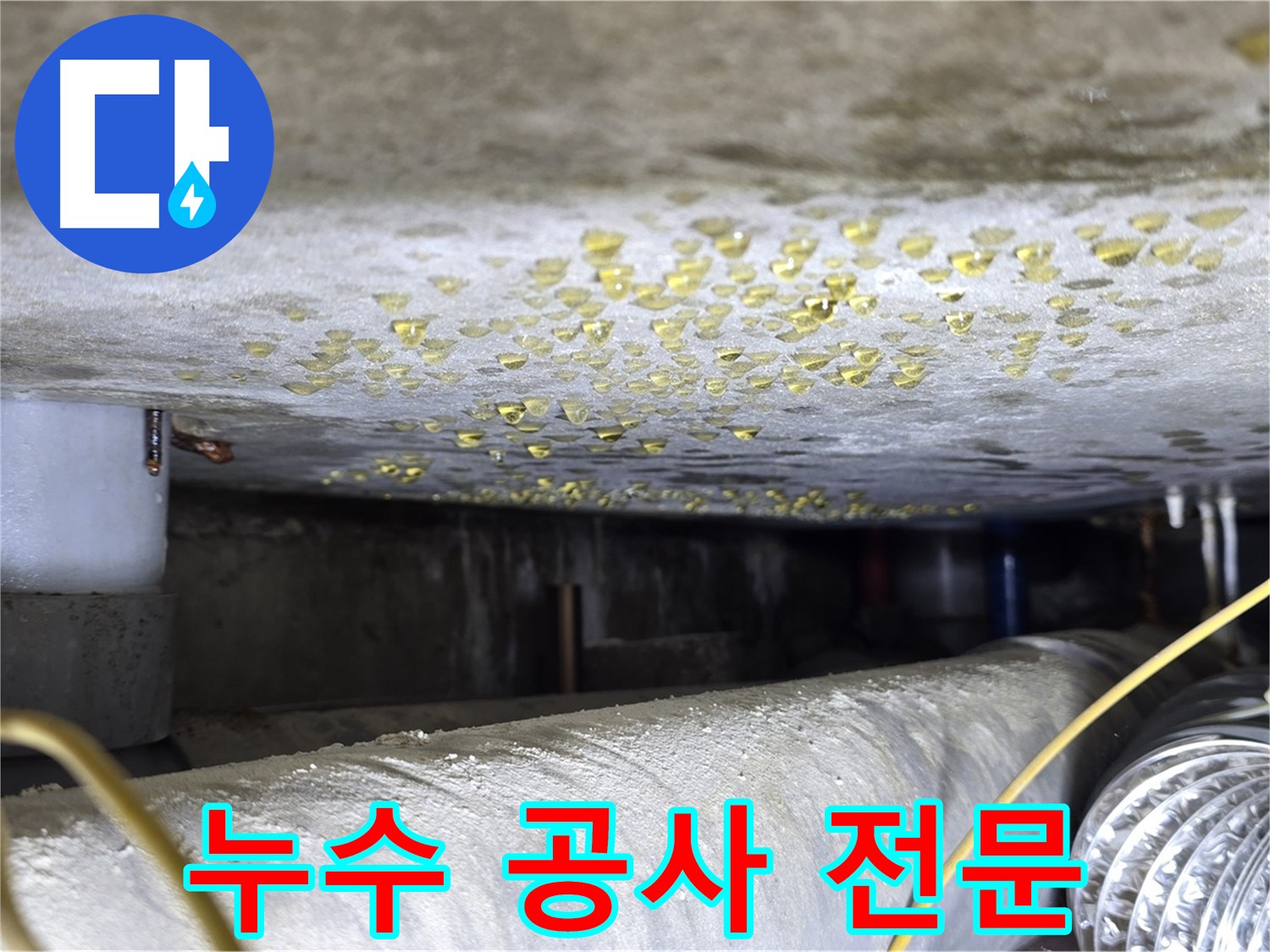 능동 아성빌라트 천장 누수 - 누수 공사 전문 업체의 꼼꼼한 시공