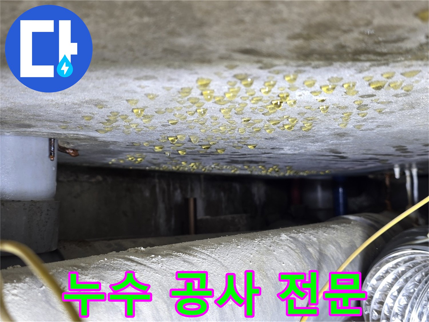능동 아성빌라트 천장 누수 - 누수 공사 전문 업체의 꼼꼼한 시공