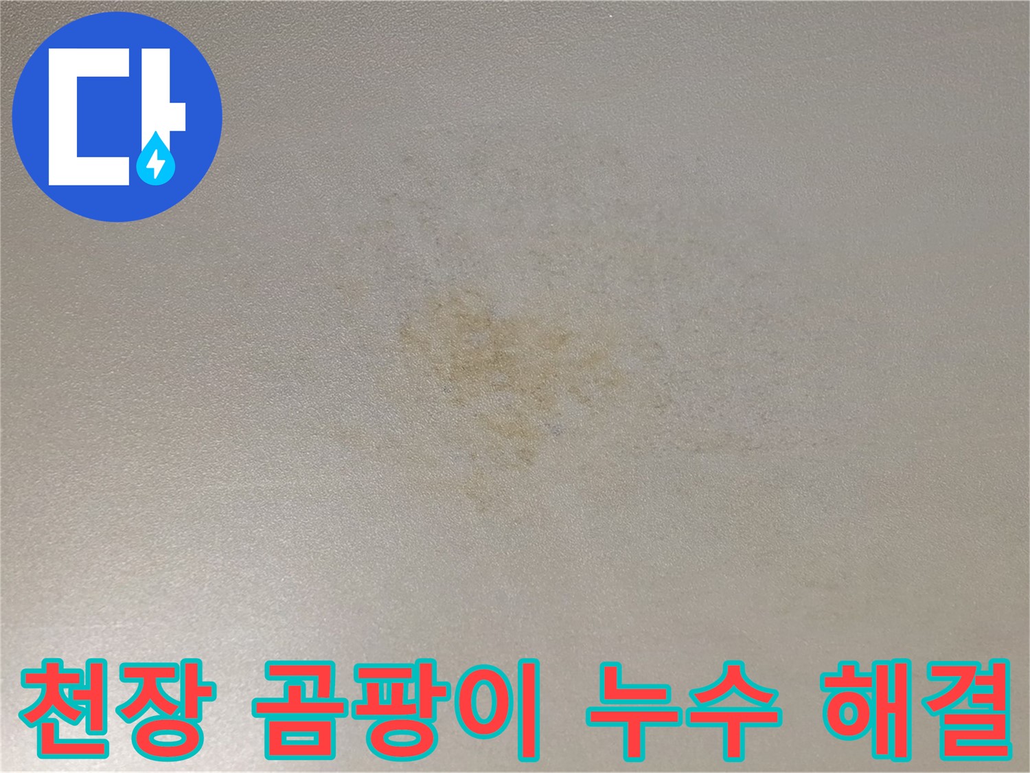 천장 곰팡이 - 능동 아성빌라 누수 해결, 건강 위협