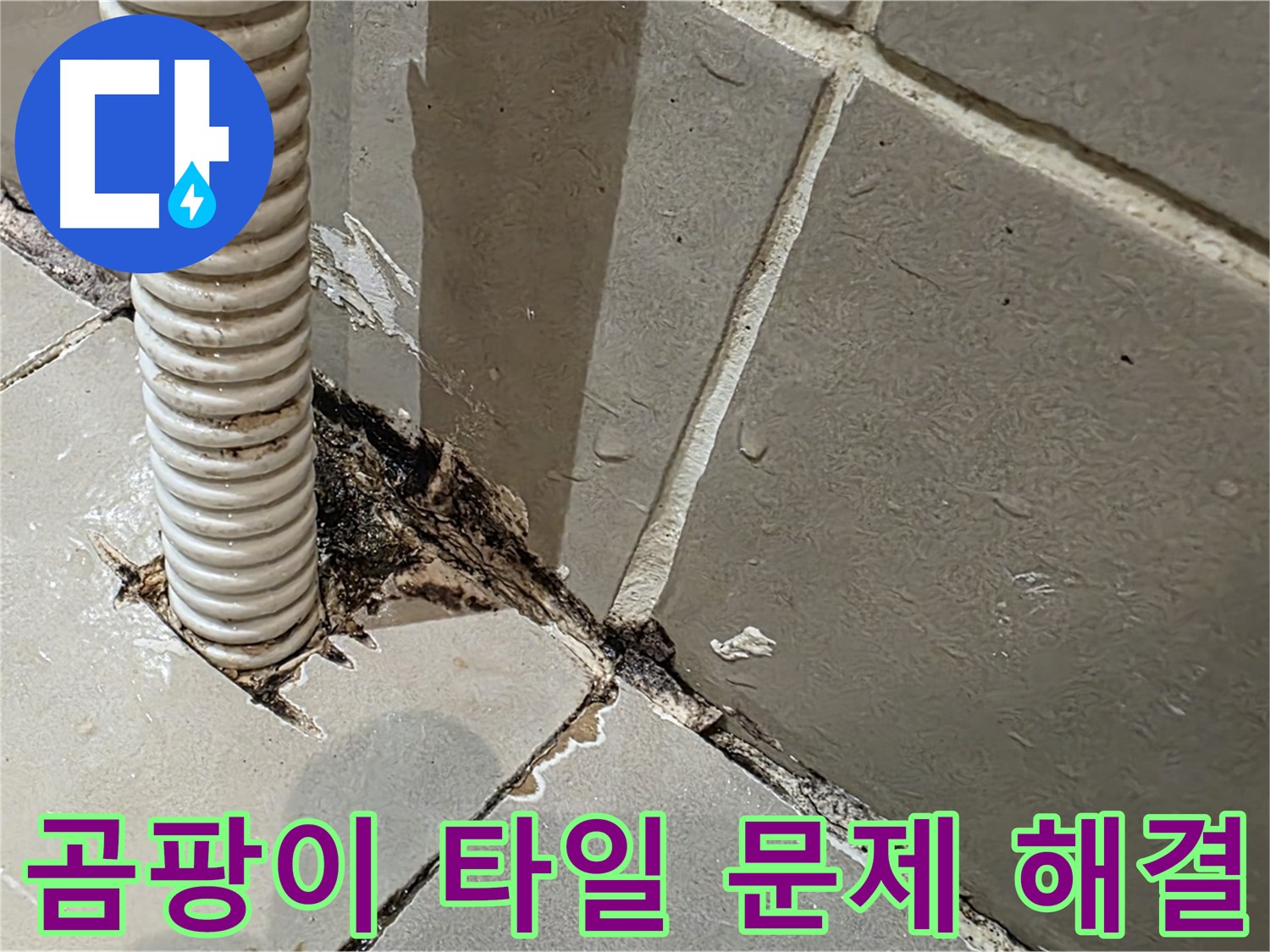용산구 상가 화장실 누수 - 배관 주변 곰팡이와 타일 들뜸 문제 해결
