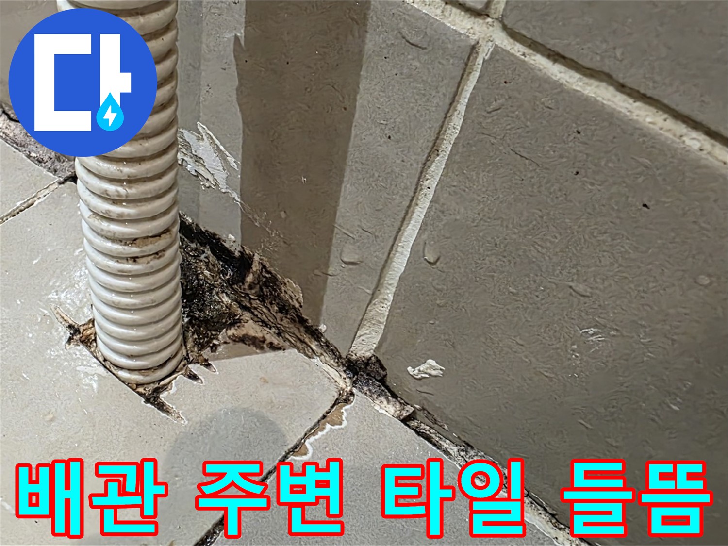 용산구 한강로2가 누수 - 배관 주변 타일 들뜸과 곰팡이 발생