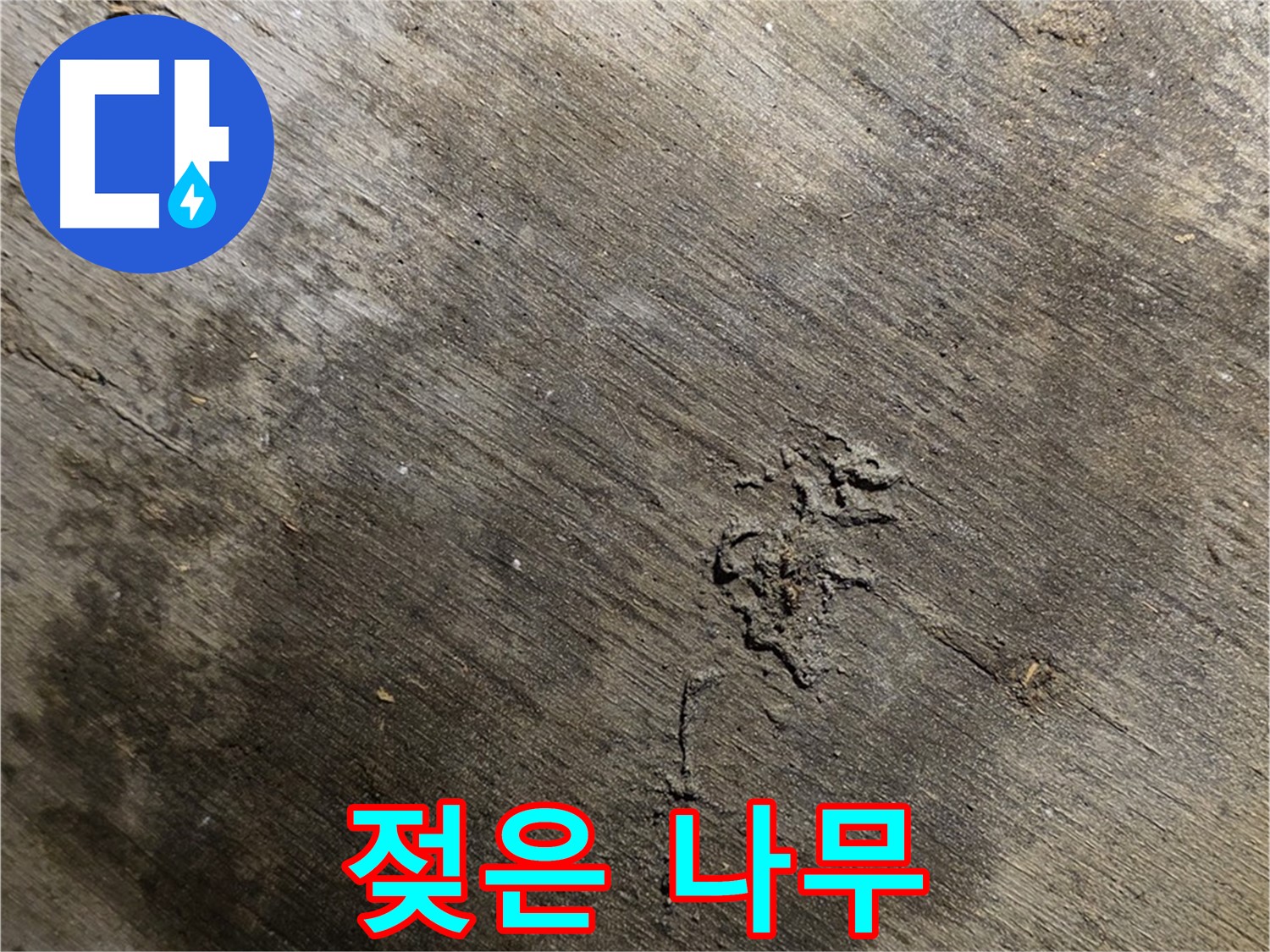 젖은 나무 - 나무가 젖어 있는 것을 보여주며, 나무의 부패 가능성을 경고합니다.