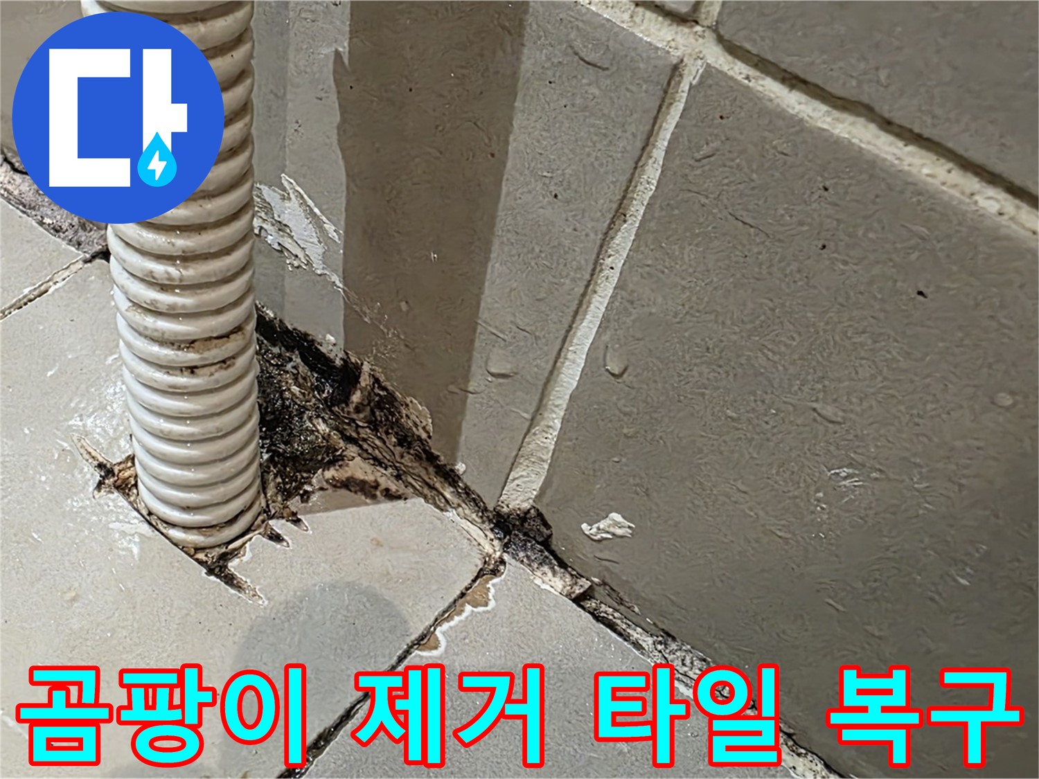 한강로2가 누수 해결 - 배관 주변 곰팡이 제거 및 타일 복구 완료