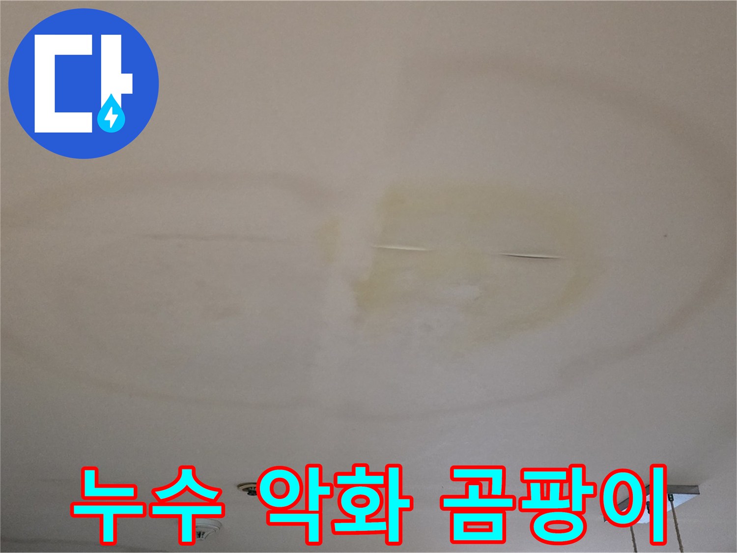 누수 악화 - 곰팡이 발생 전 점검