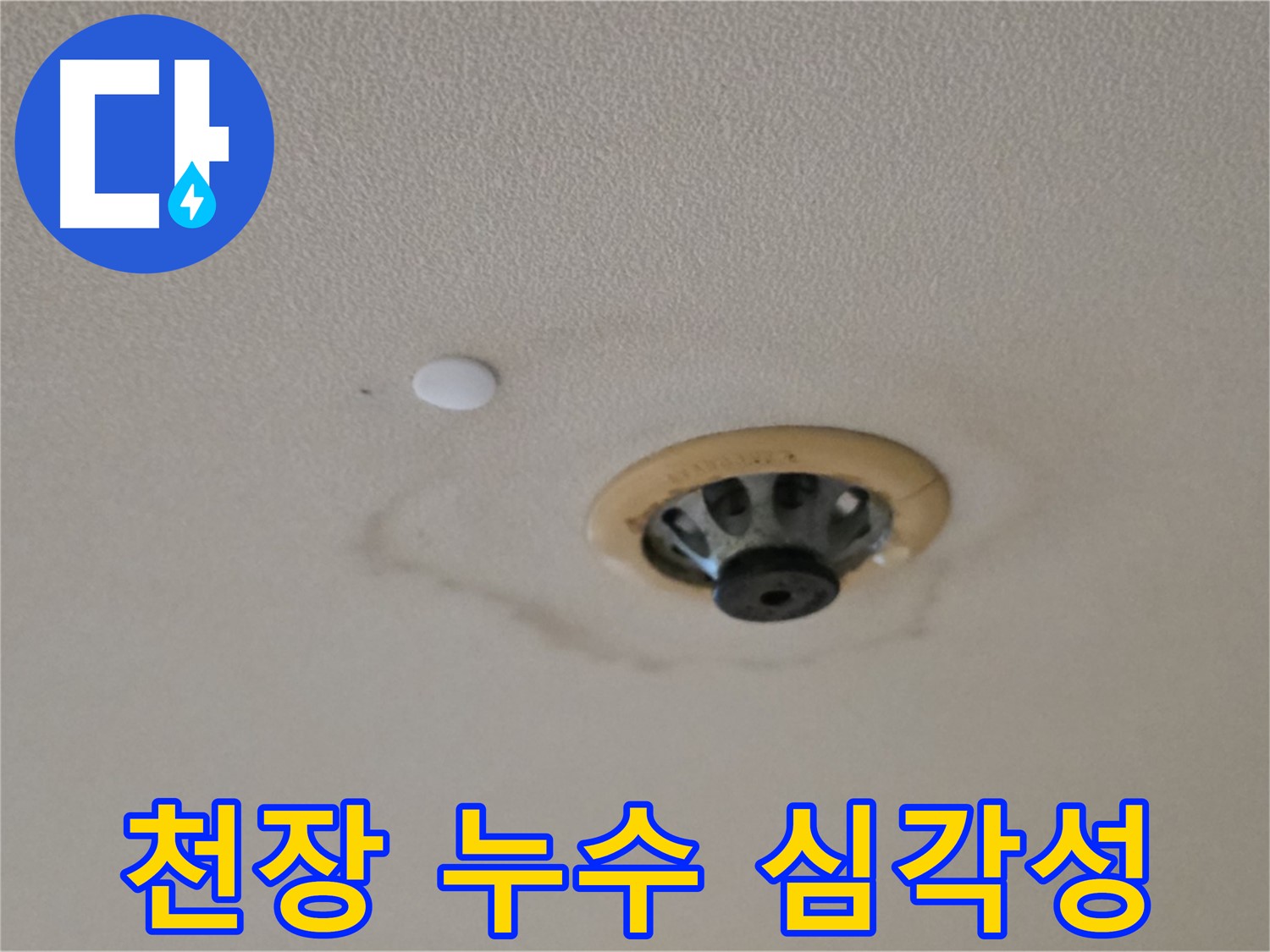 천장 누수 심각성 - 물 떨어짐