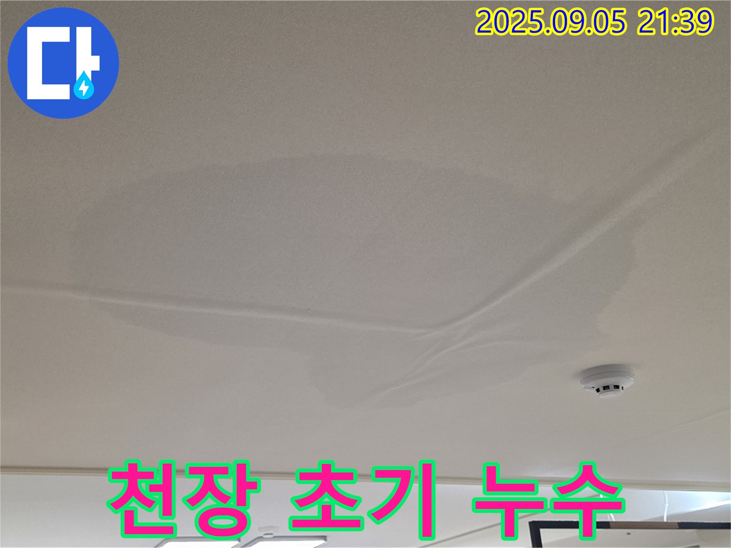 면목동 아파트 천장 누수 - 초기 누수 증상, 젖은 천장