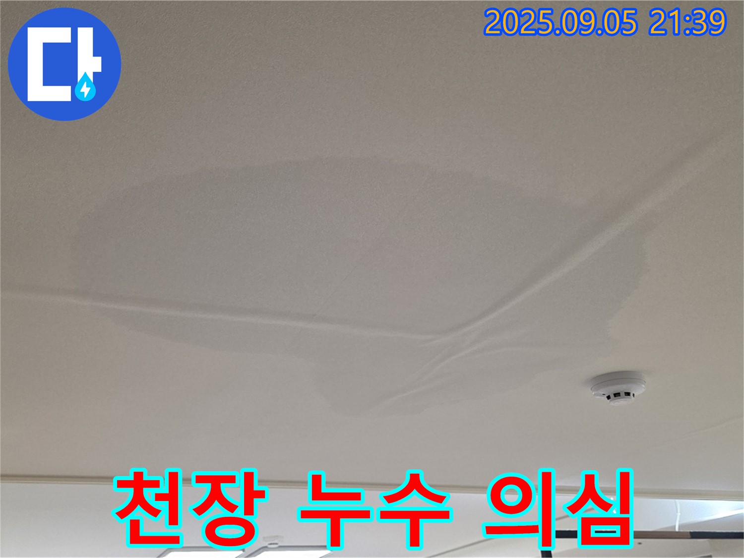 사가정 센트럴아이파크 - 천장 누수 의심 흔적, 젖은 천장