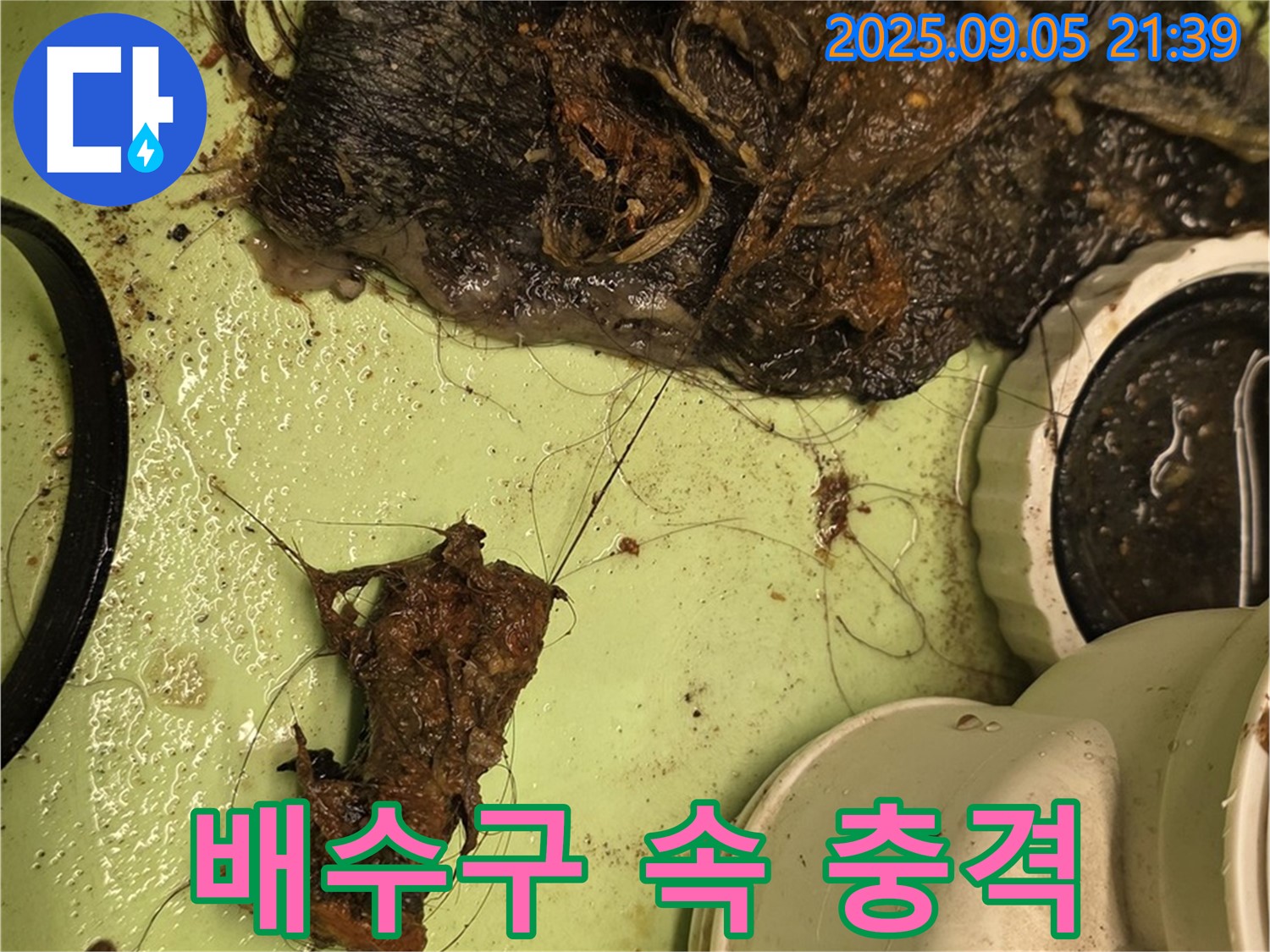 세면대 배수구 막힘 - 엉킨 머리카락과 찌꺼기 - 충격적인 모습