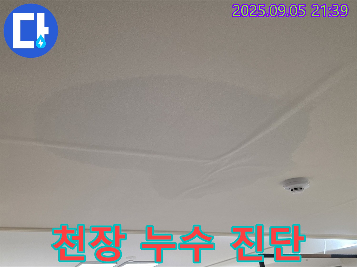 중랑구 면목동 아파트 누수 - 천장 누수 진단, 젖은 천장