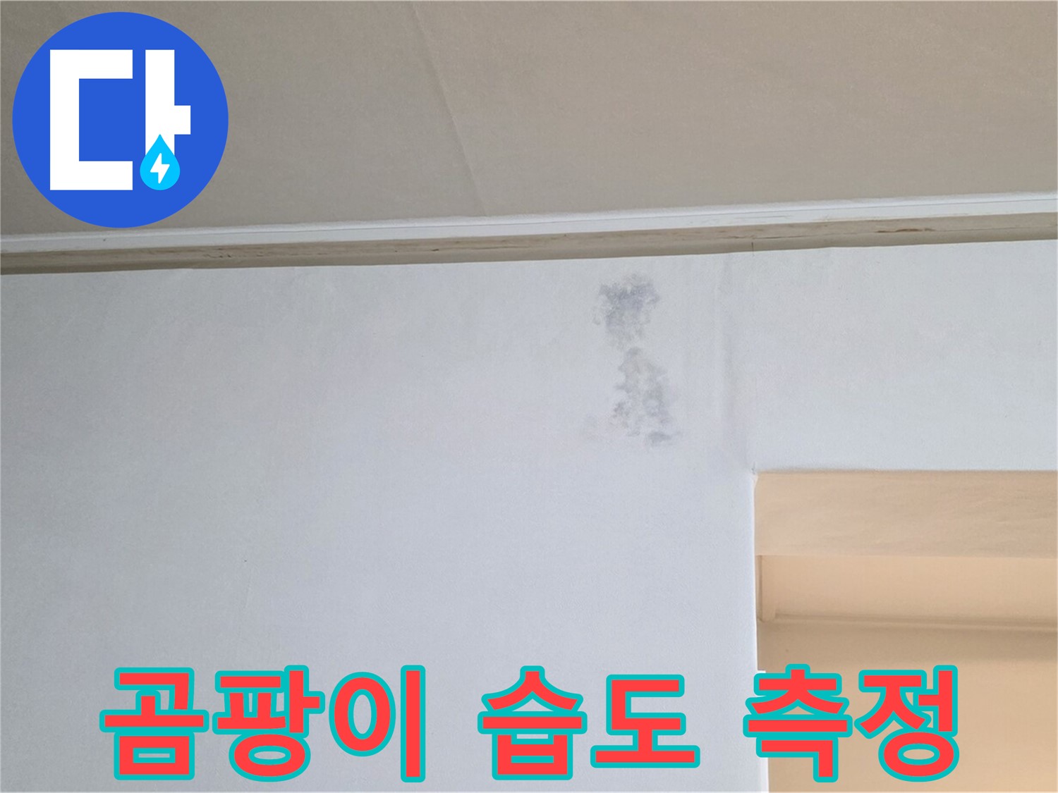 곰팡이 얼룩 벽 습도 측정 - 누수 진단