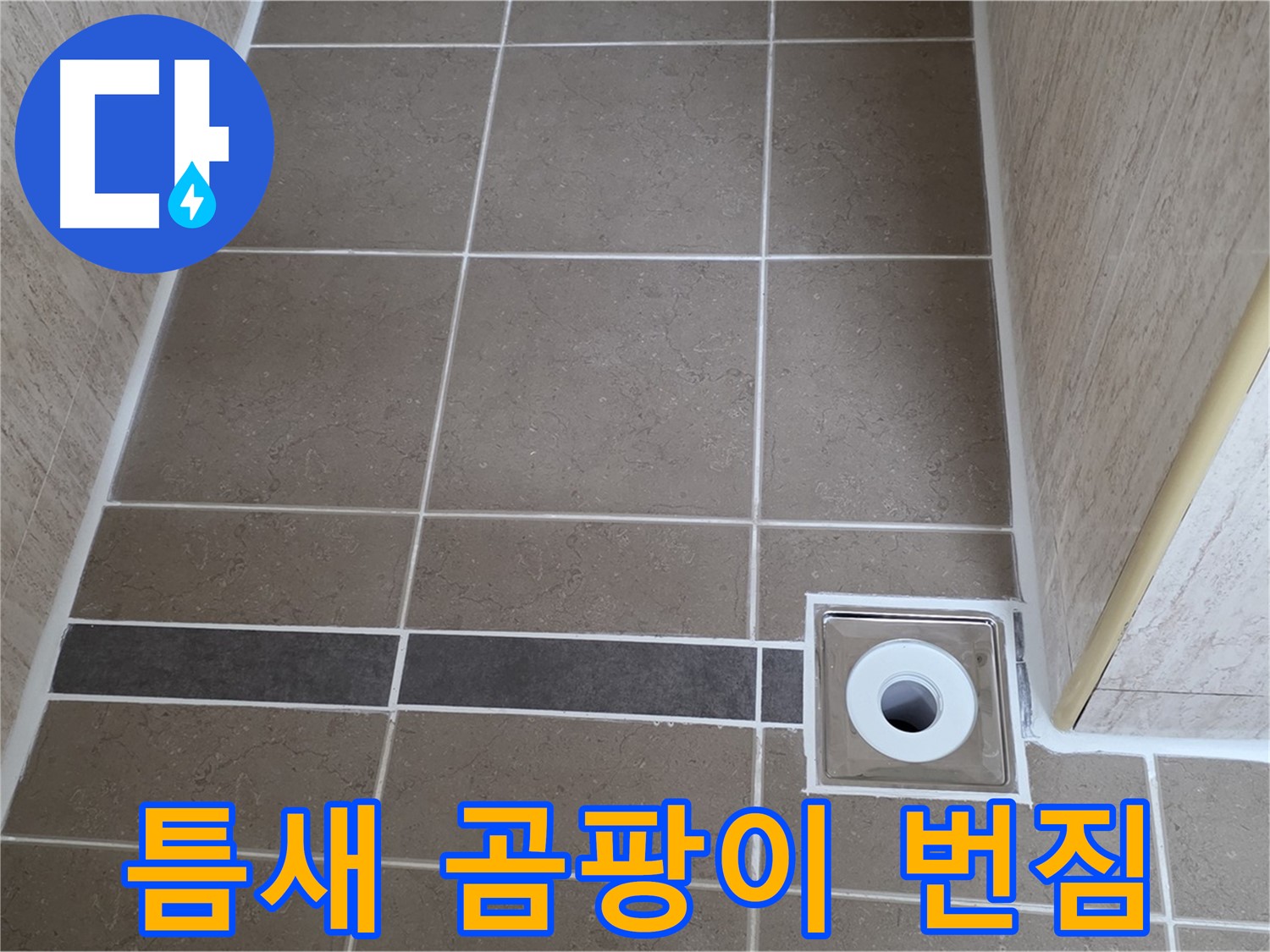 배수구 주변 타일 틈새 - 곰팡이 번짐