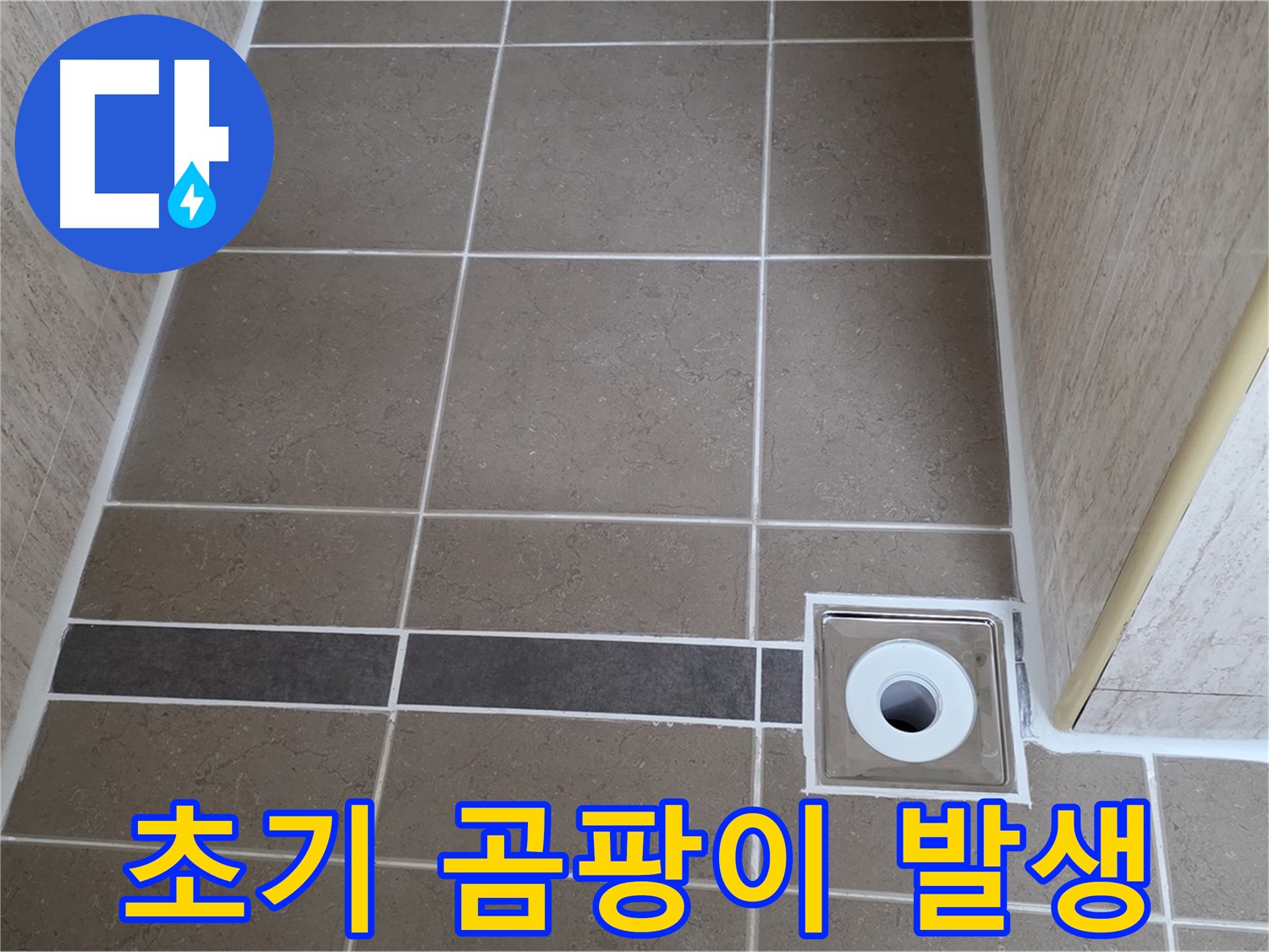 배수구 주변 타일 틈새 - 초기 곰팡이 발생