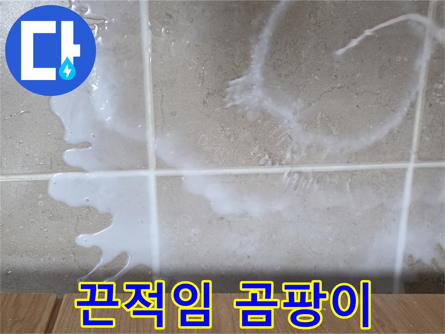 싱크대 하부장 - 끈적임 확인 - 우유 누수 의심 - 곰팡이 주의