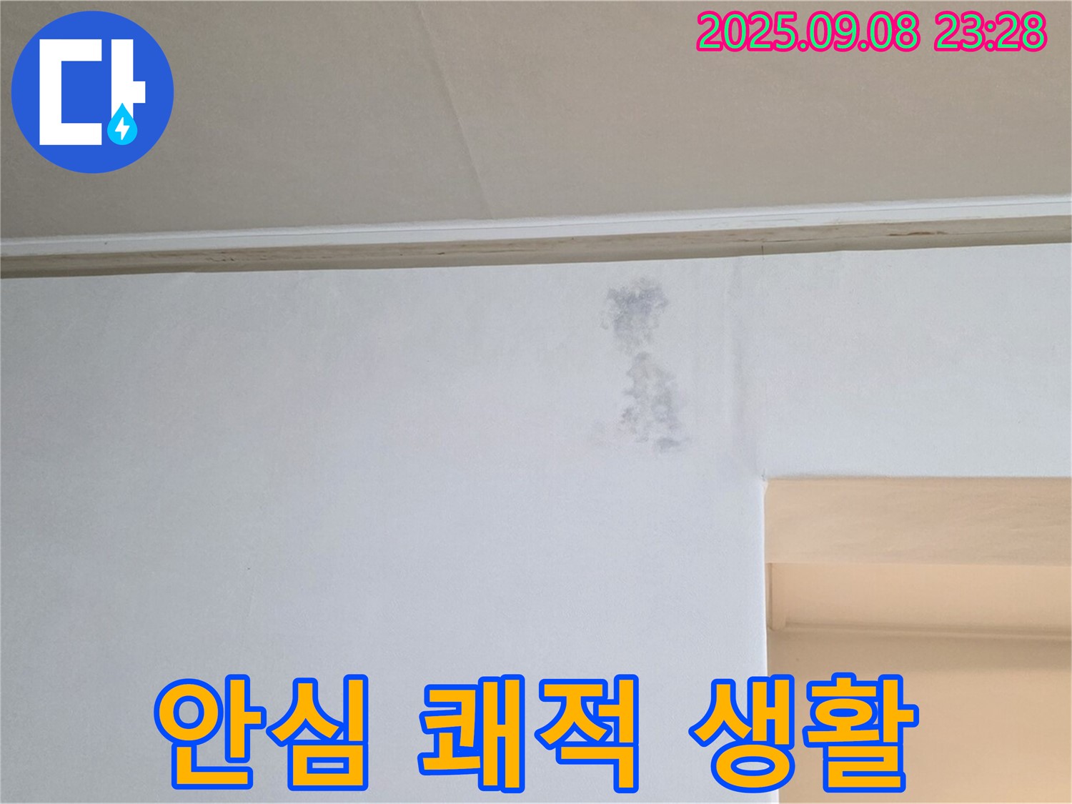 안심하고 쾌적한 생활 - 이제 누수 걱정 없이 안심하고 쾌적한 생활을 누리세요!