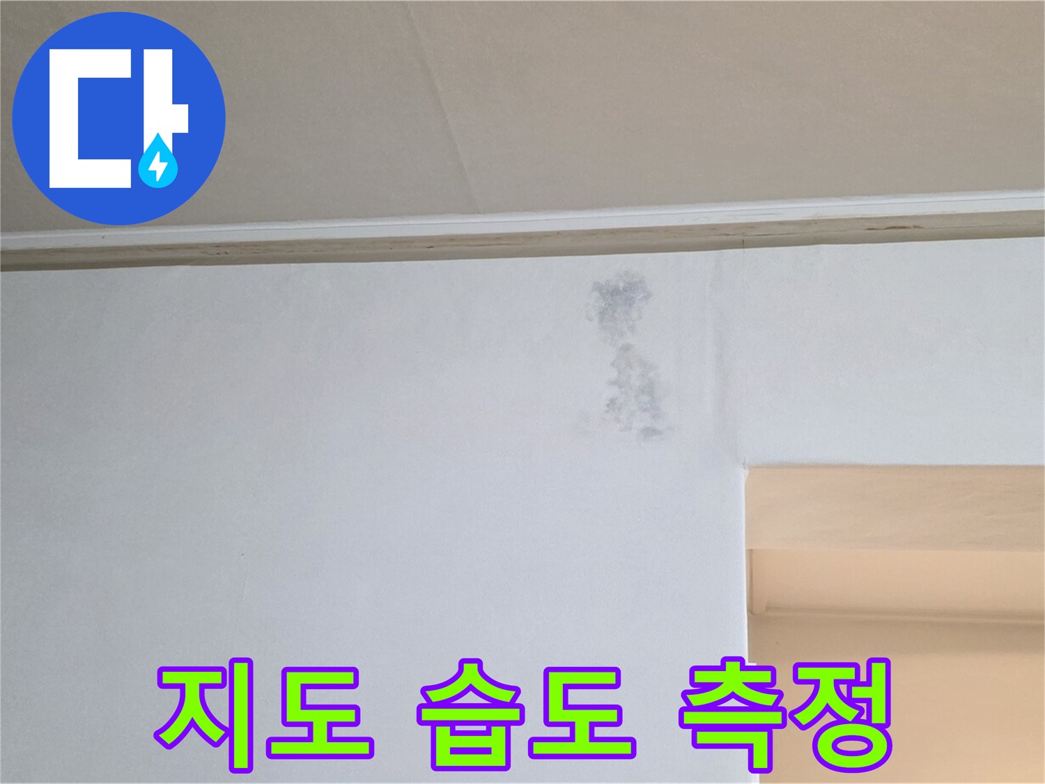 얼룩 지도 습도 측정 - 누수 & 곰팡이 정밀 과학 검사
