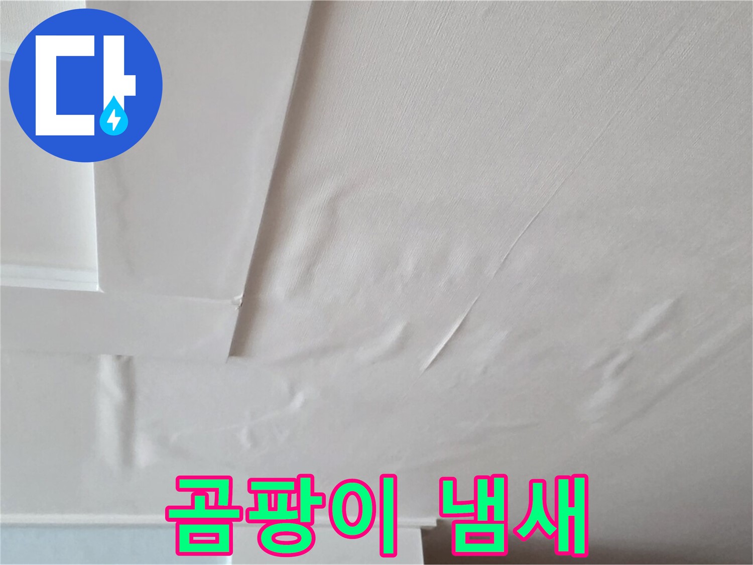일동기산베스트빌 아파트 천장 누수 - 곰팡이 냄새 발생