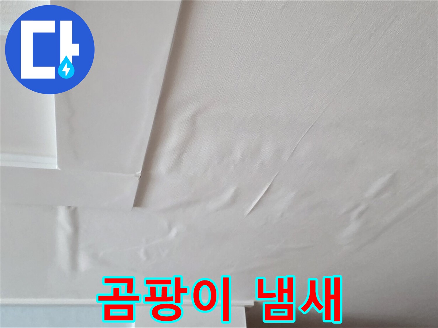 일동기산베스트빌 아파트 천장 누수 - 곰팡이 냄새 - 자가면역질환 유발