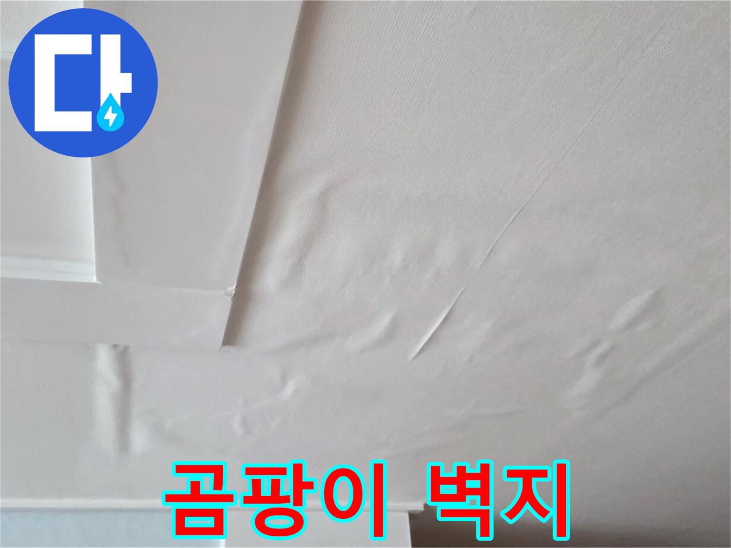 일동기산베스트빌 아파트 천장 누수 - 곰팡이 핀 벽지 - 피부 가려움 - 수면 방해