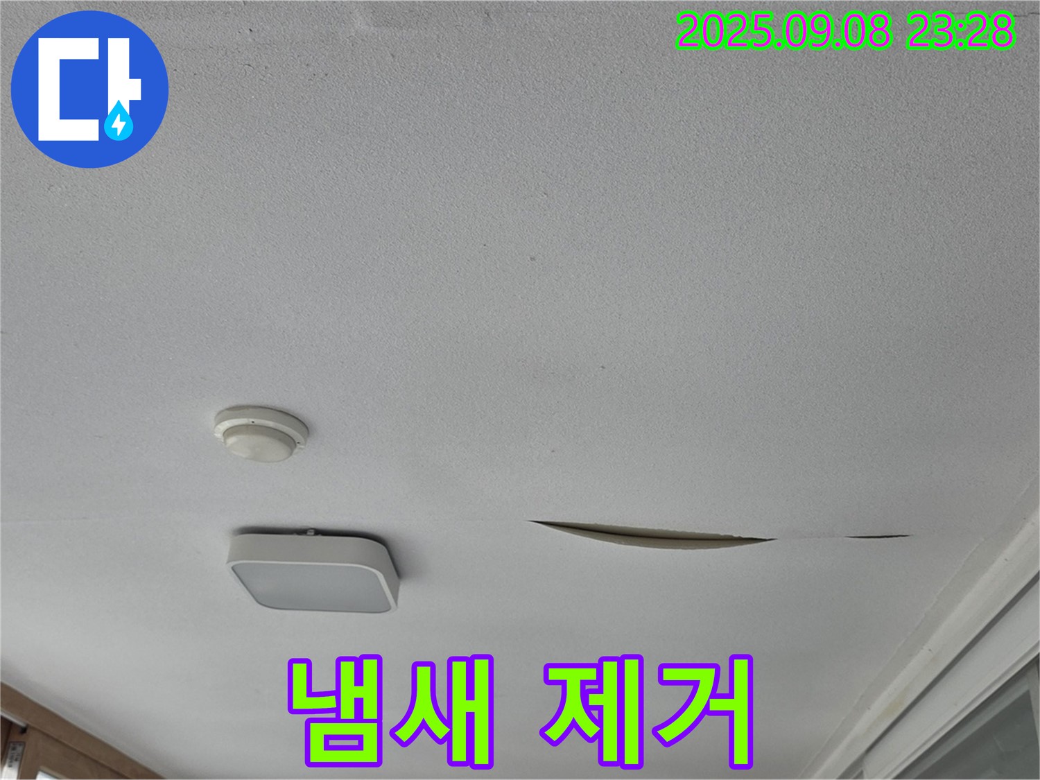 일동면 아파트 베란다 천장 - 석고보드 곰팡이 냄새 제거