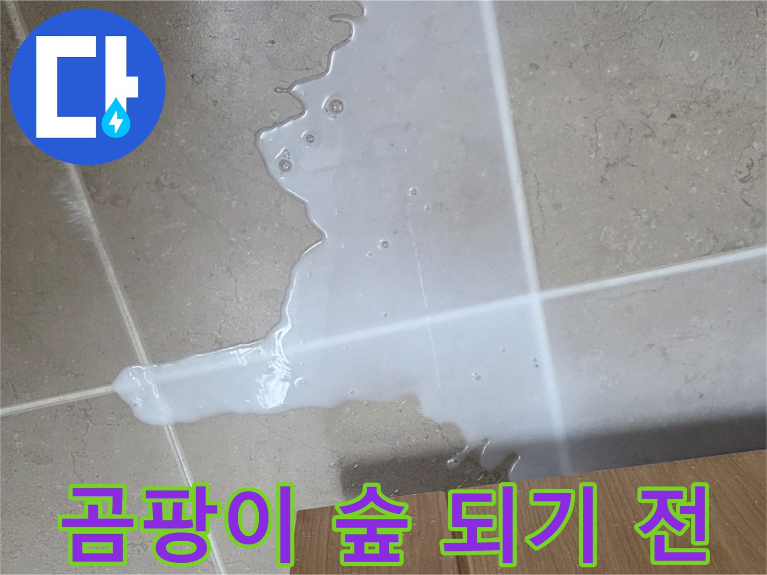 포천 일동 기산리 아파트 - 씽크대 누수로 인해 곰팡이가 무성하게 자라나는 모습 - 곰팡이 숲 되기 전에 SOS