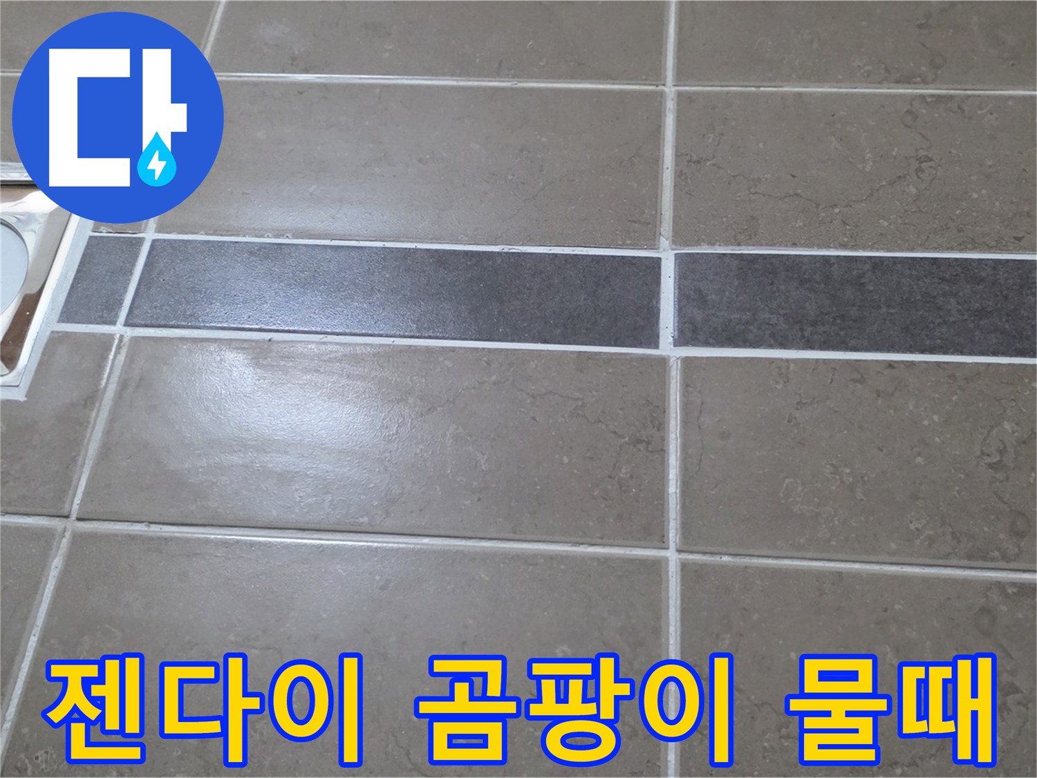 포천 일동 기산베스트빌 - 욕실 배수구 주변 타일 젠다이 곰팡이 및 물때 심각 상태 확인
