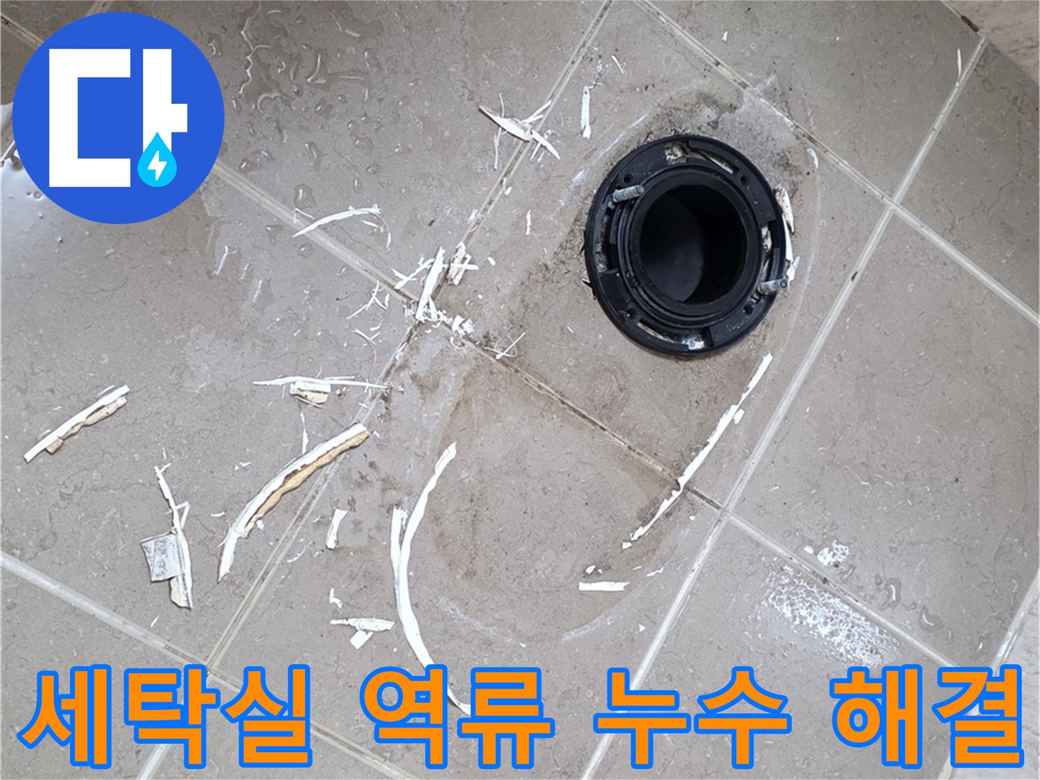 포천 일동 누수탐지 - 세탁실 배수구 역류 누수 원인 진단 및 해결 과정