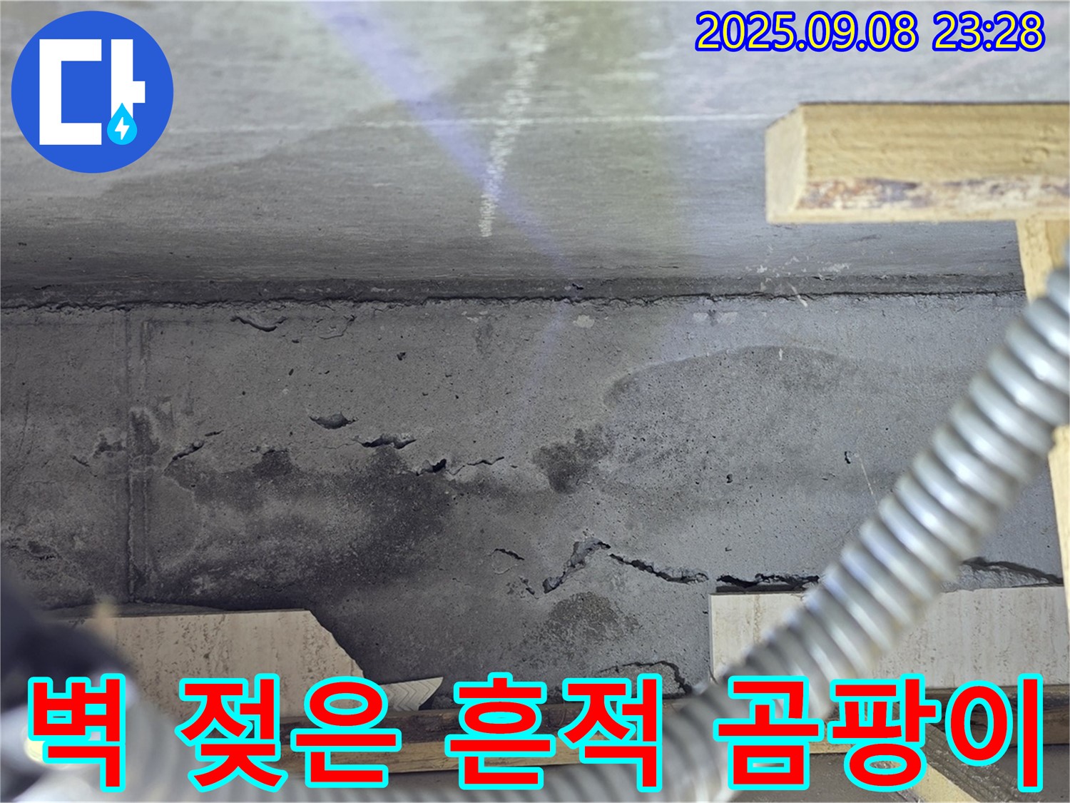 포천 일동 아파트 누수 - 콘크리트 벽면, 젖은 흔적과 함께 곰팡이 발생, 건강 위협