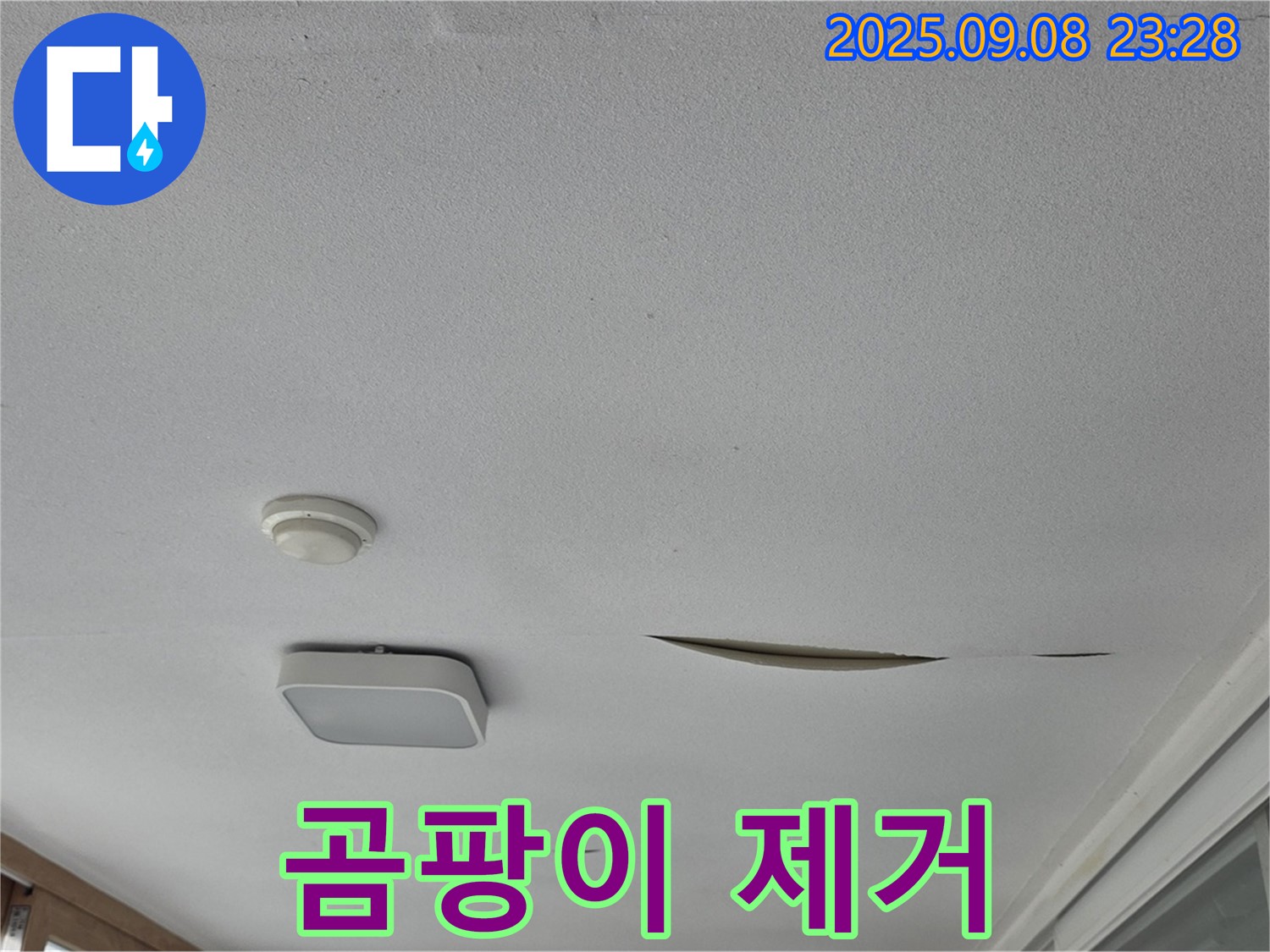 포천 일동 아파트 베란다 천장 - 석고보드 곰팡이 제거
