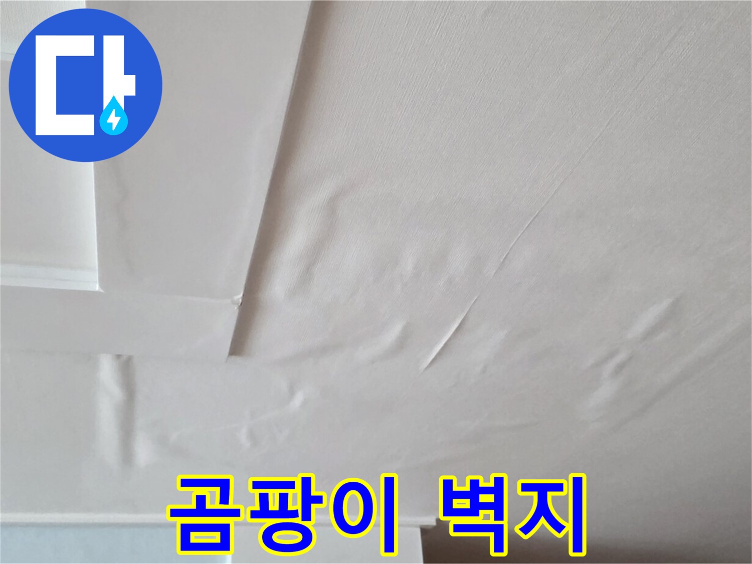 포천 일동 아파트 천장 누수 - 곰팡이 가득한 벽지 - 어지럼증 유발
