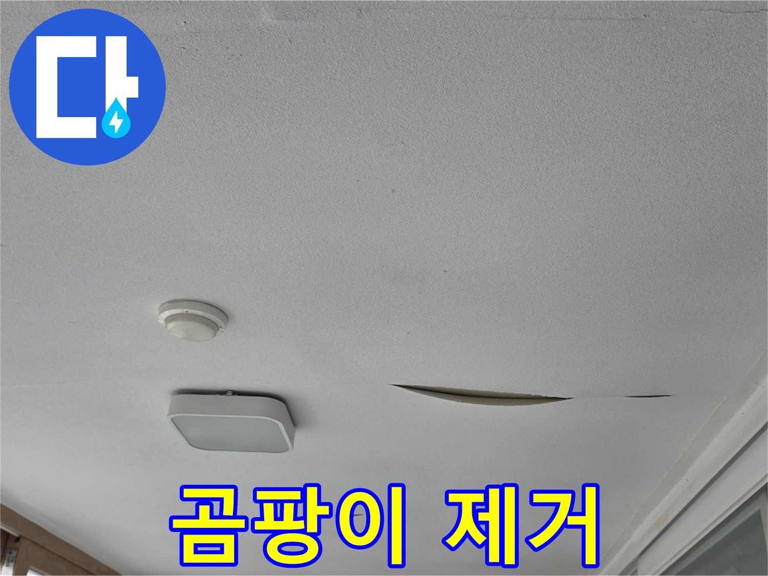 포천 일동 아파트 천장 누수 - 젖은 석고보드 곰팡이 제거 및 교체
