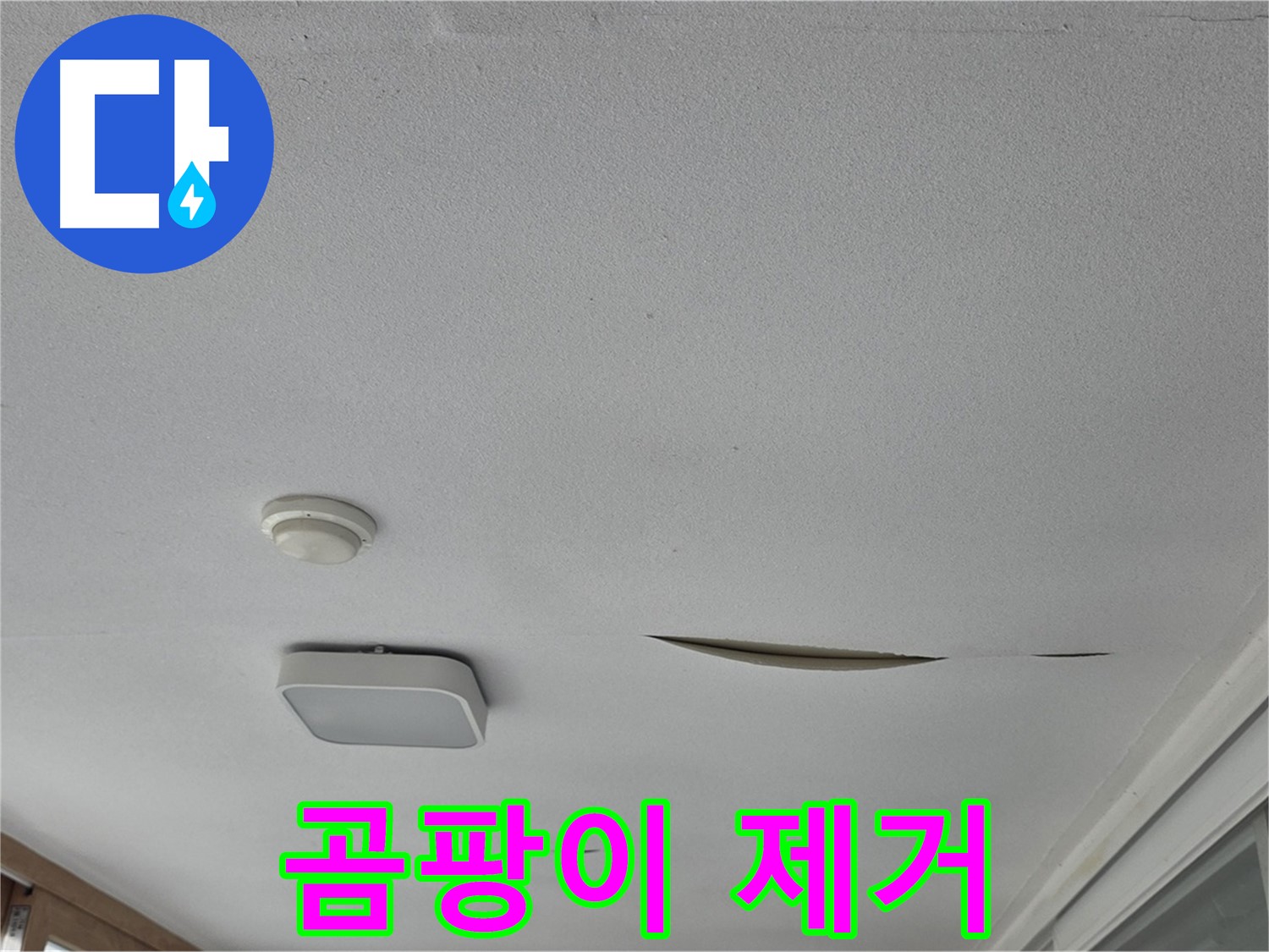 포천 일동 아파트 천장 누수 - 젖은 석고보드 곰팡이 제거 및 교체