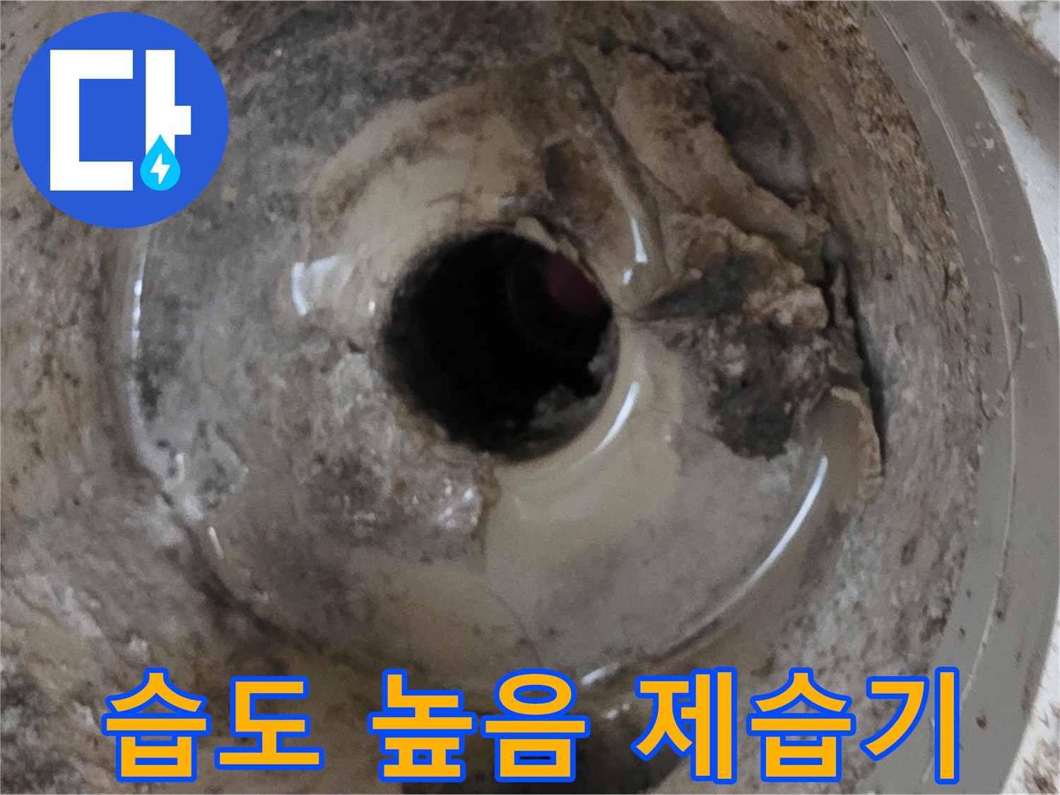 포천 일동 운악청계로 - 누수 때문에 집 안 습도가 높다면, 제습기 사용과 함께 누수 원인을 해결하세요!