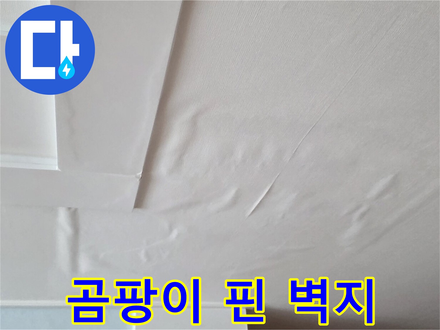 포천 일동 천장 누수 - 곰팡이 꽃 핀 벽지 상세 촬영
