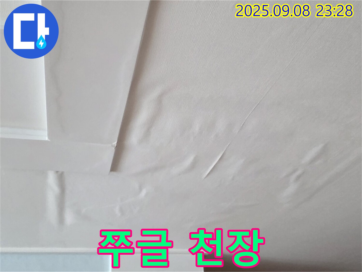 포천 일동 천장 - 쭈글쭈글 비닐하우스 - 누수 의심 - 빠른 점검