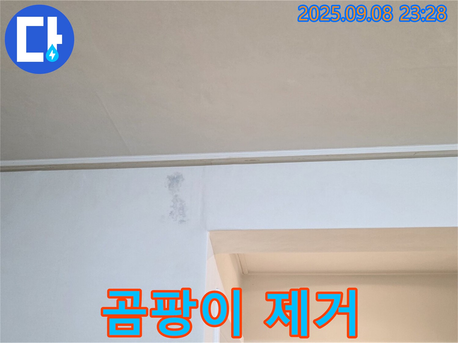 포천 일동면 기산리 곰팡이 제거 - 곰팡이 제거, 전문가의 손길이 필요합니다.