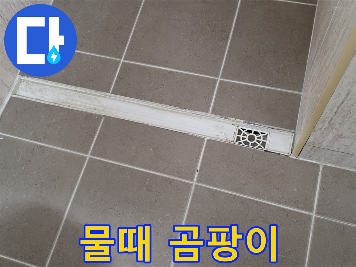 포천 일동면 기산리 욕실 - 트렌치 덮개 주변 물때 및 곰팡이