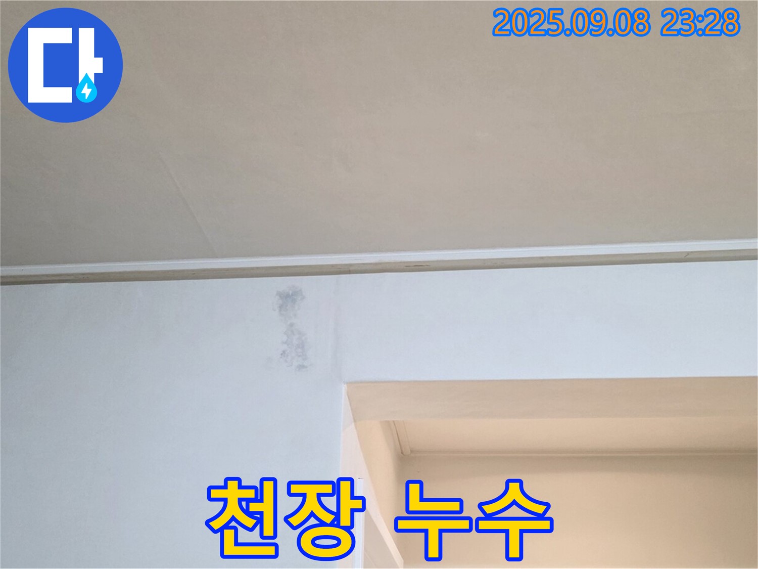 포천 일동면 아파트 천장 누수 - 완벽한 누수 차단을 위한 누수 전문가의 솔루션입니다.