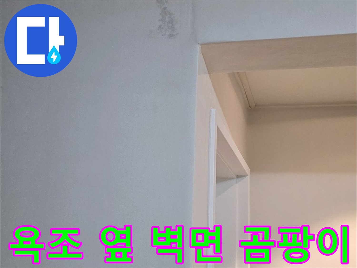 포천시 일동면 기산리 아파트 욕조 옆 벽면 곰팡이 - 건강 위협 및 방치 금지