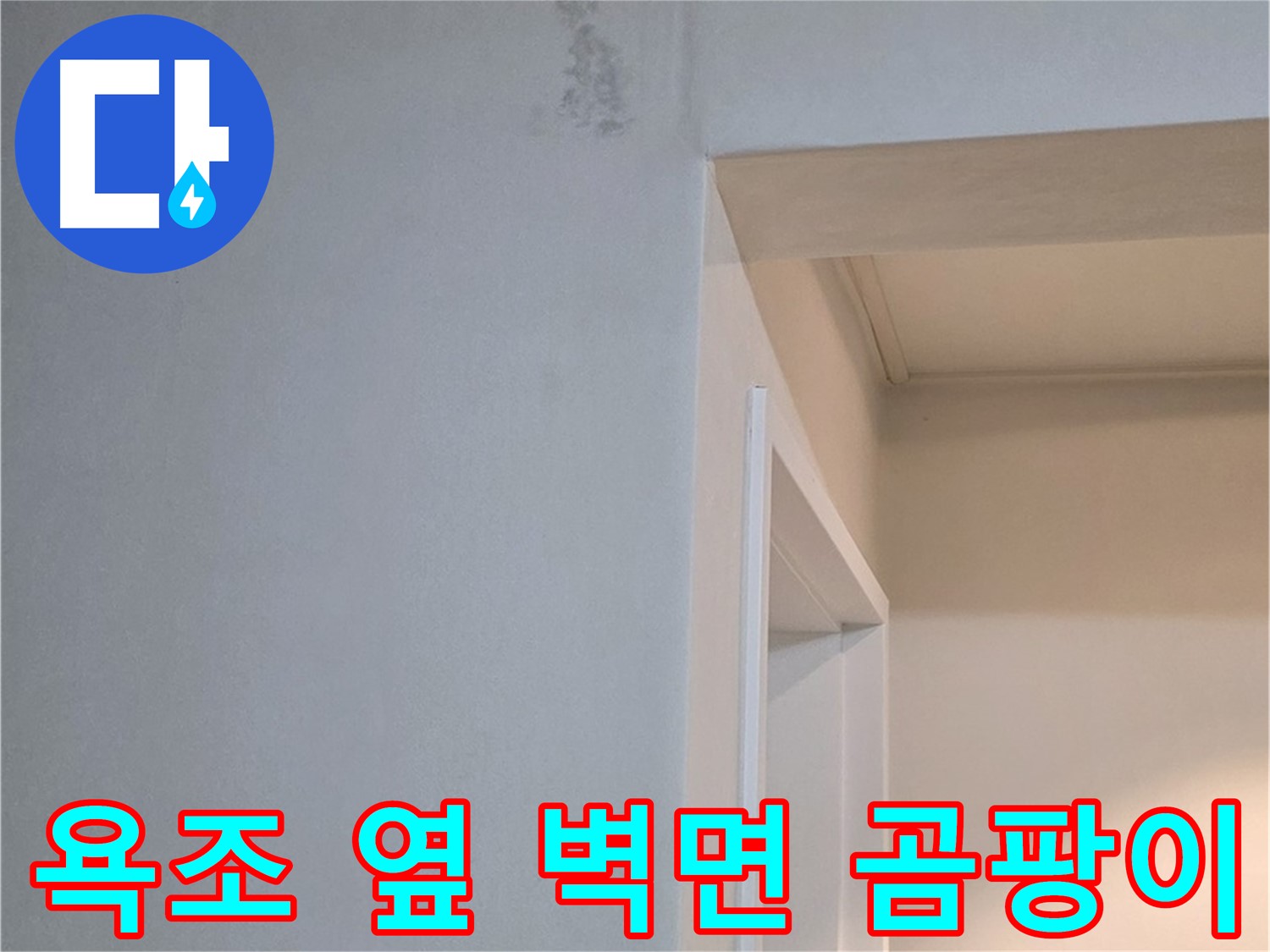 포천시 일동면 기산리 아파트 욕조 옆 벽면 곰팡이 - 건강 위협 및 제거 필요