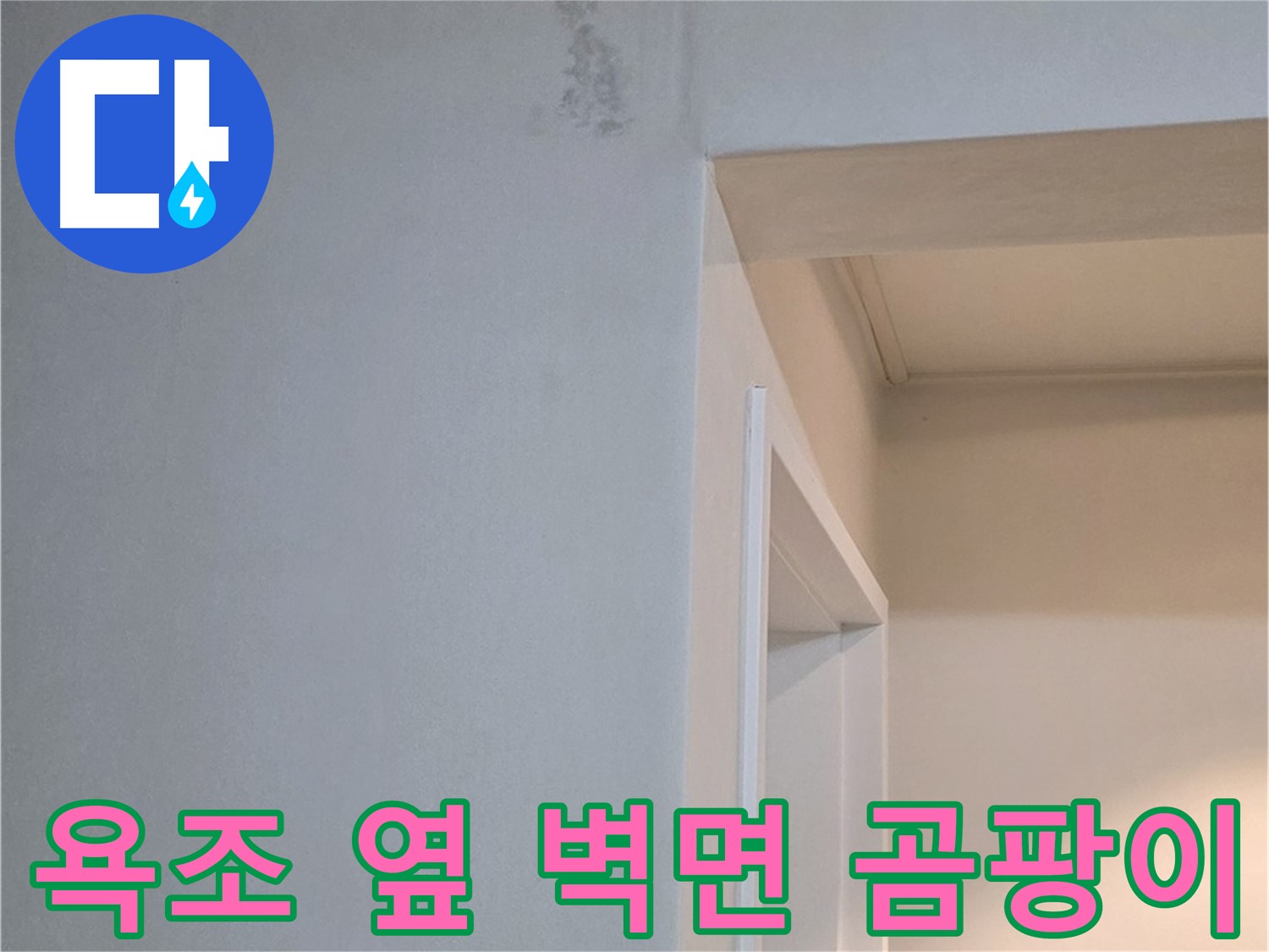 포천시 일동면 기산리 아파트 욕조 옆 벽면 곰팡이 - 건강 위협 및 확실한 해결